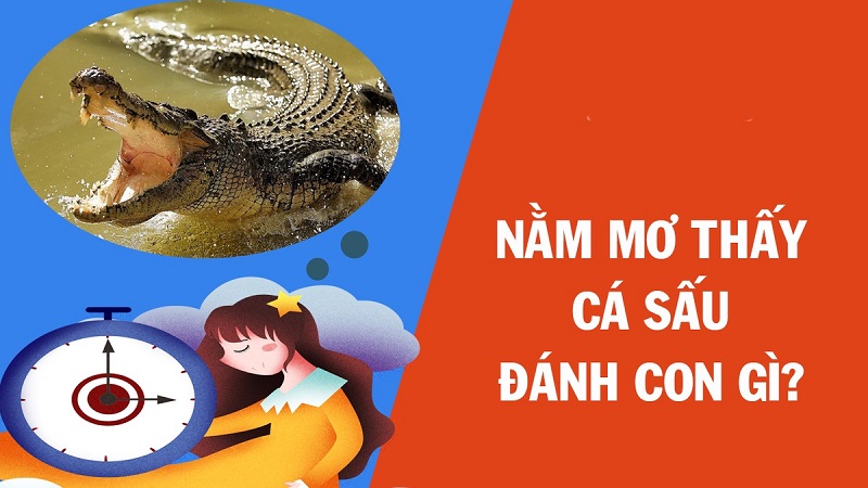 Đánh con số nào khi gặp giấc mơ cá sấu