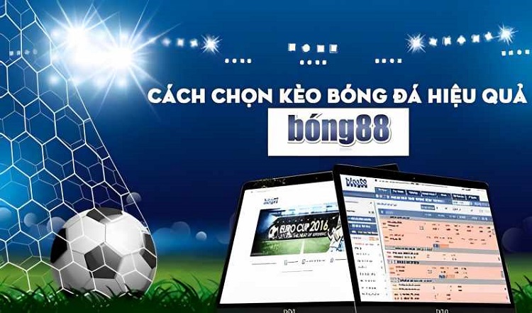 Bí quyết đạt thành công trong việc đặt cược kèo bóng 88 