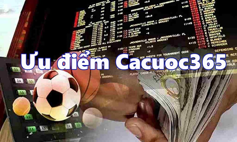 Các Ưu Điểm Nổi Bật của 365cacuoc