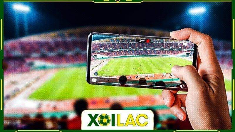 Hướng dẫn tải app trực tiếp bóng đá Xoilac TV trên thiết bị Android