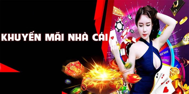 Nhận nhiều khuyến mãi của nhà cái