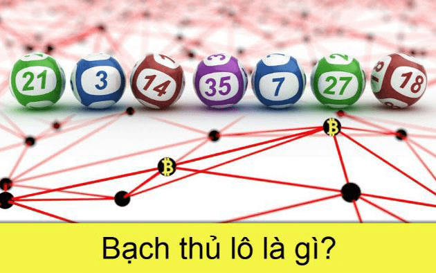 3.3. Bạch thủ lô