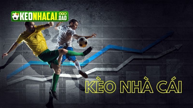 Tỷ lệ kèo nhà cái là gì