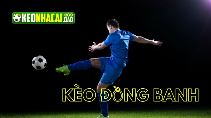 Các tỷ lệ keonhacai nổi bật