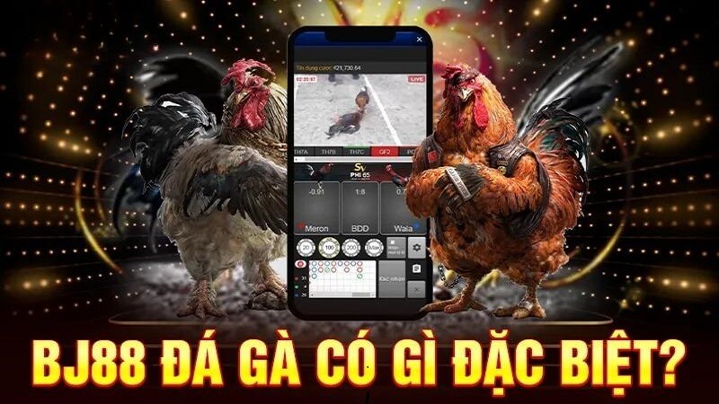 Đấu trường Đá gà BJ88 hấp dẫn, uy tín hàng đầu thị trường