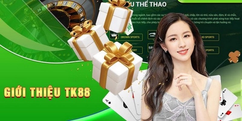 TK88 center - Tổng quan về nhà cái hàng đầu hiện nay 