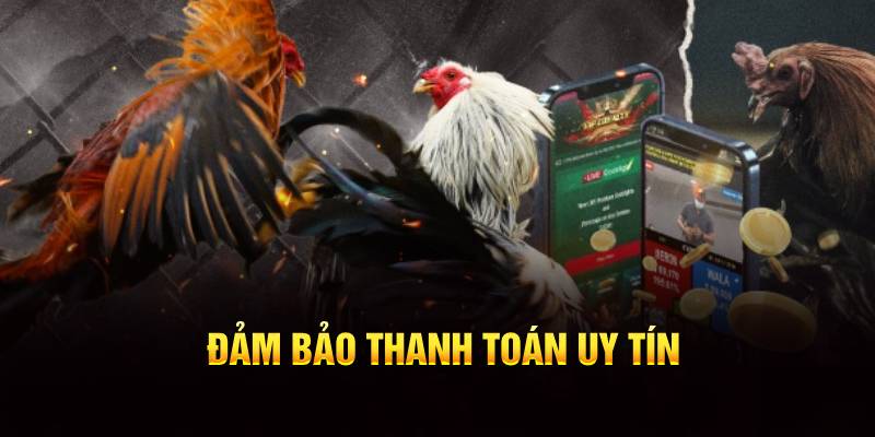 Đảm bảo thanh toán uy tín