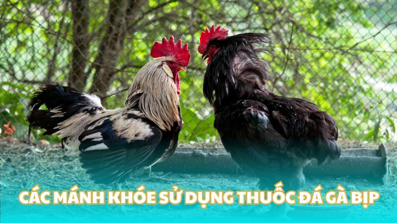 Các mánh khóe sử dụng thuốc đá gà bịp