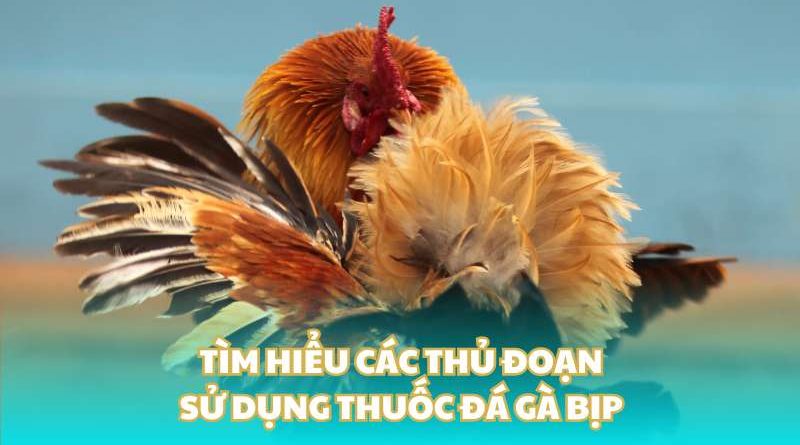 Tìm hiểu các thủ đoạn sử dụng thuốc đá gà bịp