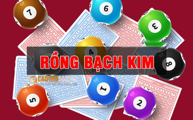 Tìm hiểu về soi cầu rồng bạch kim miền Bắc hôm nay tại Hitclub 