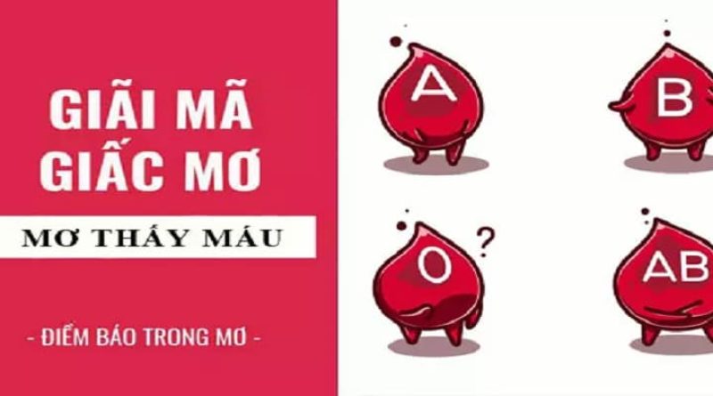 Mơ Thấy Máu – Dự Đoán Số Đề Cực Chuẩn Cho Lô Thủ Cá Cược