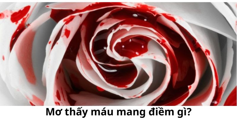 Mơ thấy máu mang điềm gì?