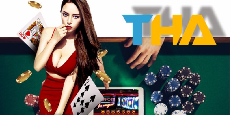 Tổng quan về Thabet casino 