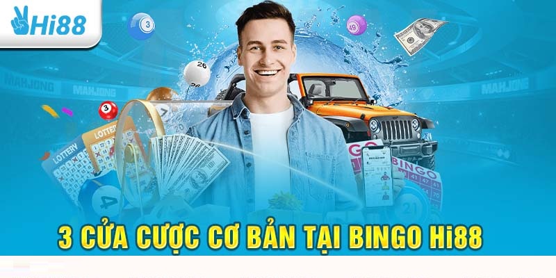 Những mẹo cược cơ bản khi chơi bingo Hi88