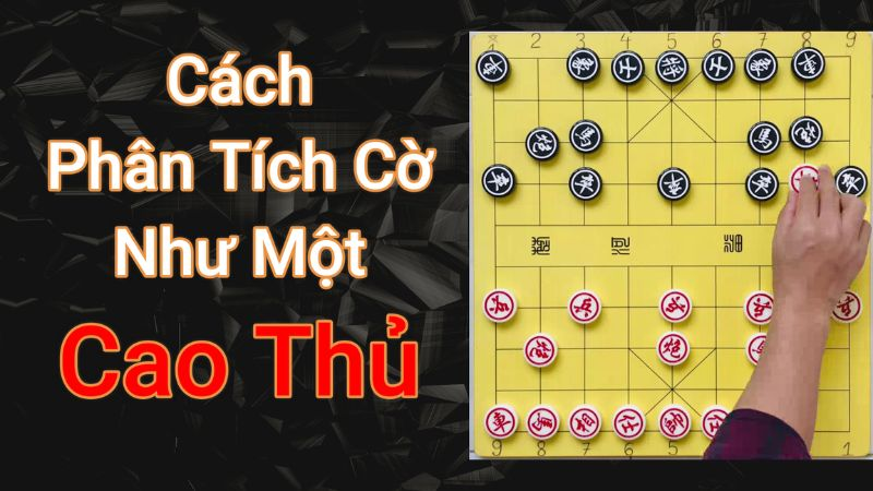 Phân tích bàn cờ như một cao thủ 