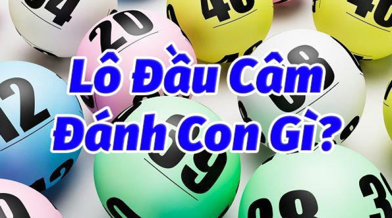 Lô câm đầu 1 hôm sau đánh con gì dễ nổ trúng lớn