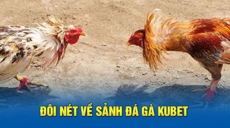 Đá gà Kubet: Hướng dẫn chơi chi tiết và mẹo chiến thắng