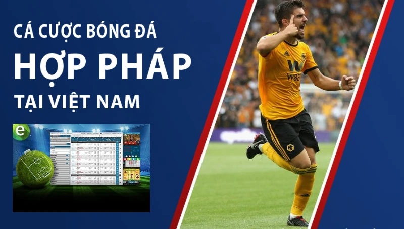 Luật pháp Việt Nam về cá độ bóng đá: Những điều cần biết để tránh rủi ro pháp luật