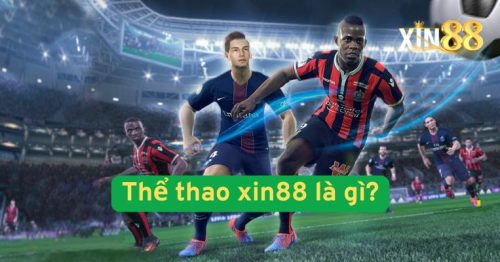 Thể Thao Xin88: Kinh Nghiệm Và Mẹo Thắng Cược Hiệu Quả Năm 2025
