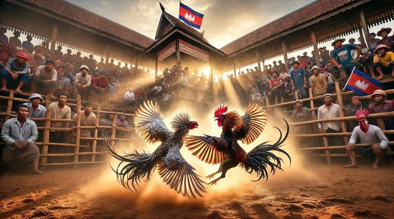 Trường gà Thomo 789BET – Địa điểm cá cược đẳng cấp cho kê thủ