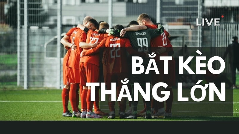  Đọc kèo dễ dàng tại thể thao FB88 cho tân thủ 